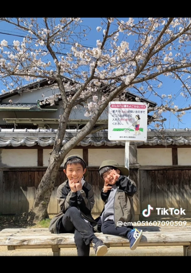 桜の下 10年間 写真 撮り続けたら 成長記録 赤ちゃん 兄弟 家族 増える 同じ場所