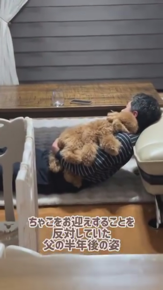 ワンコを優しく抱くお父さん