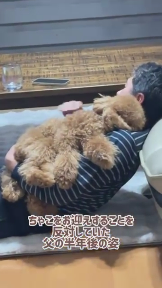 ワンコをなでるお父さん