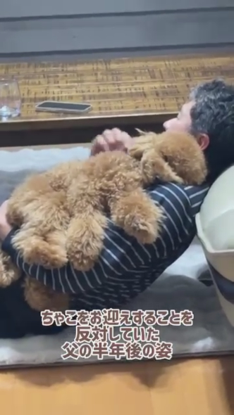 リラックスした様子のワンコ