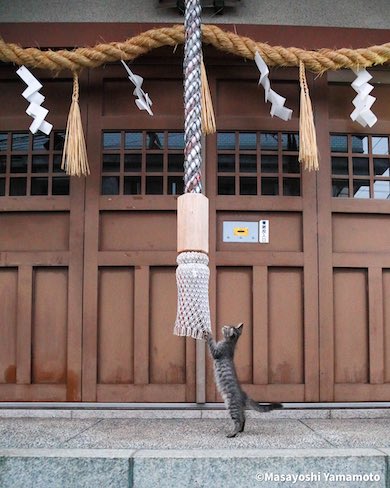 山本さんの作品