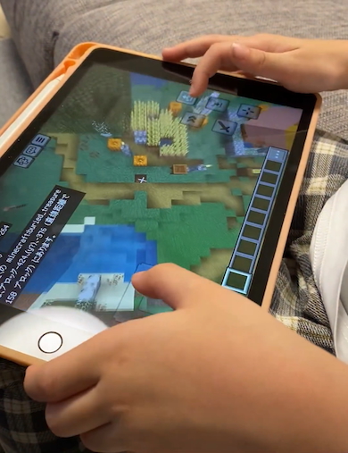 7歳息子のマインクラフト