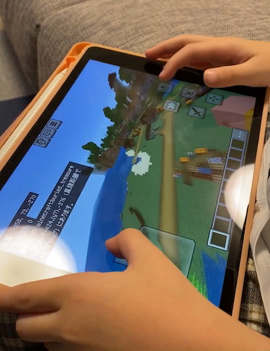 7歳息子のマインクラフト
