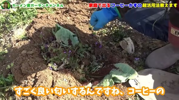 畑にコーヒーかすや植物残渣を混ぜ込む