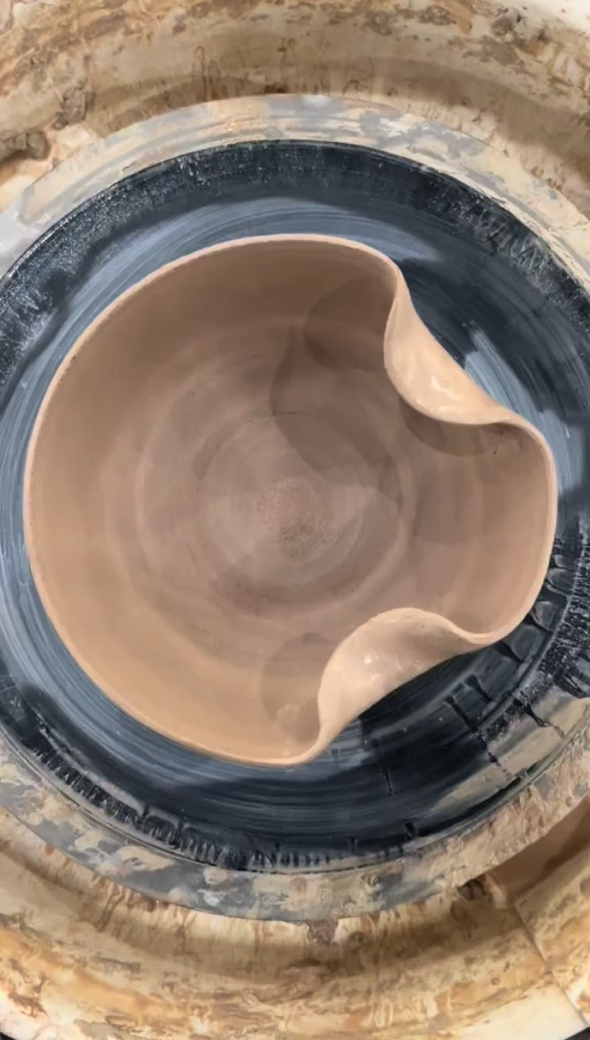 ふしぎな形をした画期的なボウル