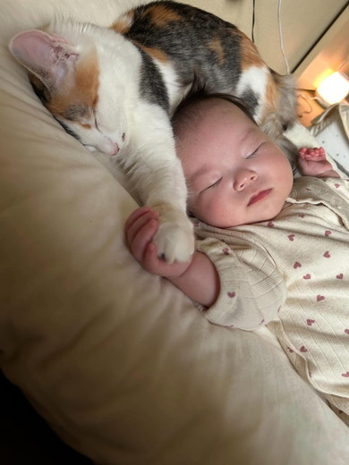 寝ている赤ちゃんと猫ちゃん