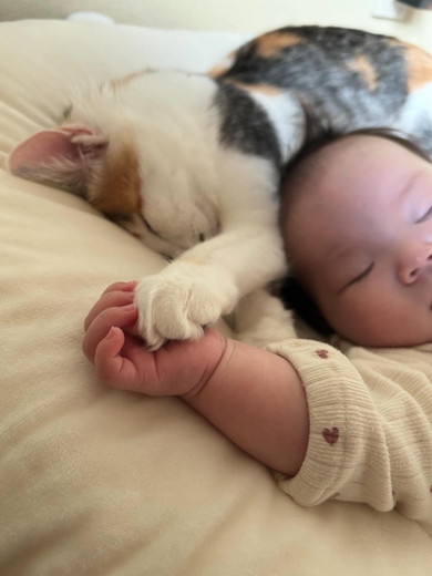 寝ている赤ちゃんと猫ちゃん