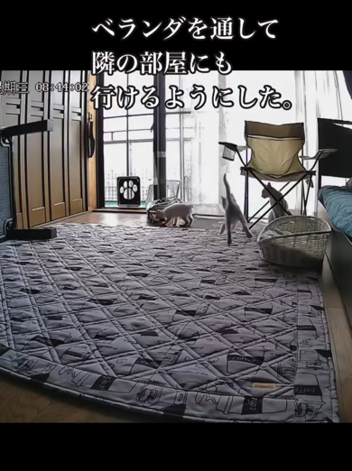 ベランダから隣の部屋に行き来できる仕様