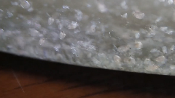 1匹 ミジンコ 室内 飼育 増やす コツ 100均 エサ