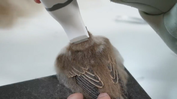 羊毛フェルト 溶けてる イエスズメ 制作 風景 メイキング リアル