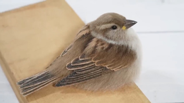 羊毛フェルト 溶けてる イエスズメ 制作 風景 メイキング リアル