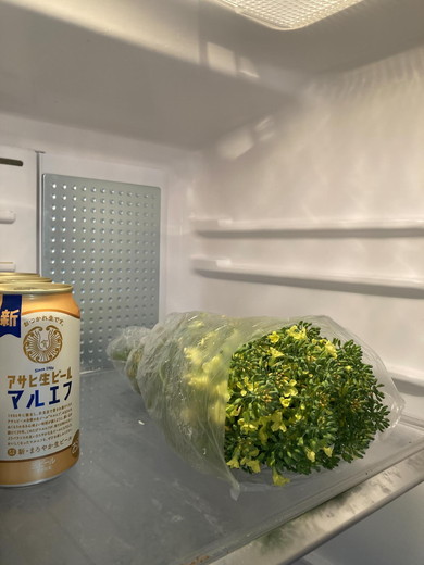 冷蔵庫にあるブロッコリーの花