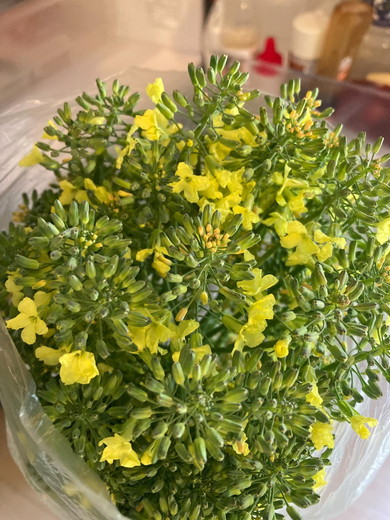 冷蔵庫にあるブロッコリーの花