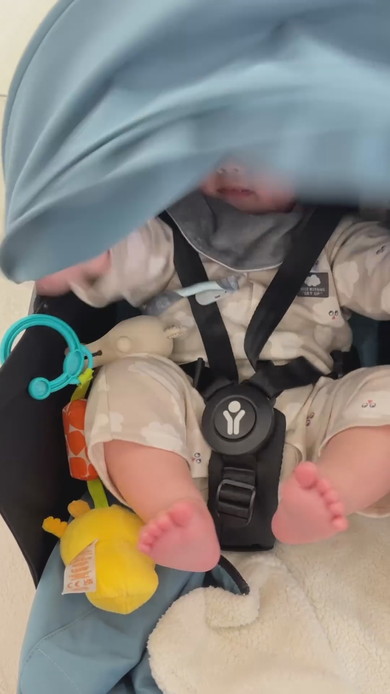 ベビーカーに乗る赤ちゃん