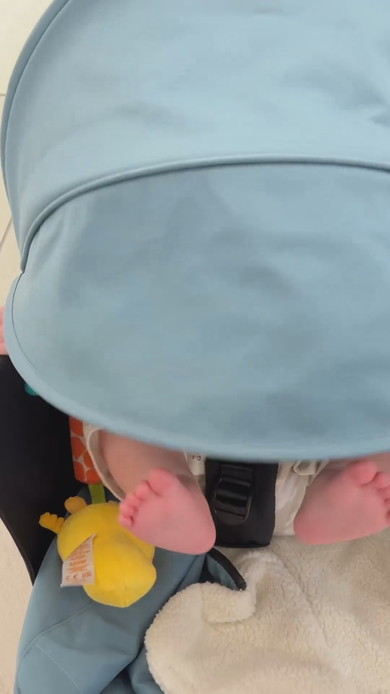 ベビーカーのほろを降ろす赤ちゃん