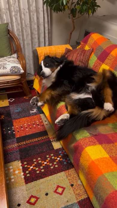 なかなか起きてくれないリンちゃん