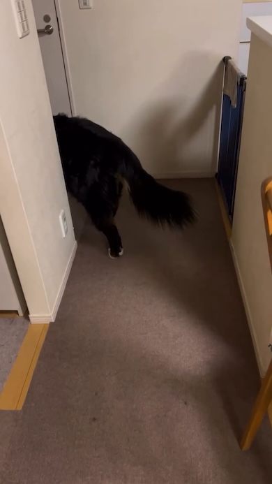 なかなか起きてくれないリンちゃん