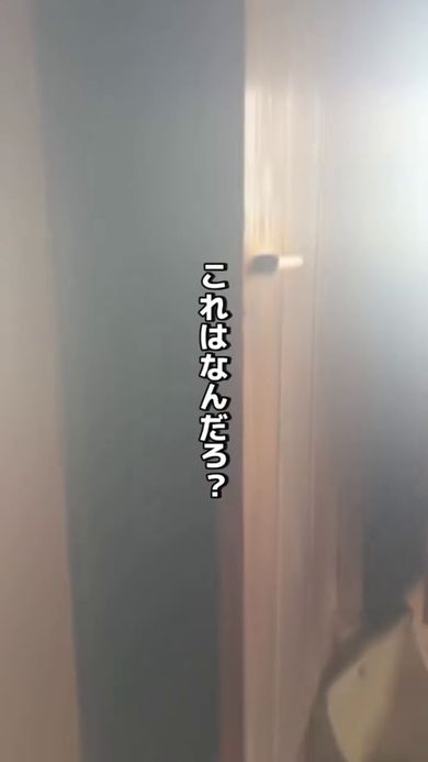 窓が1つあり、ドアが2つある部屋