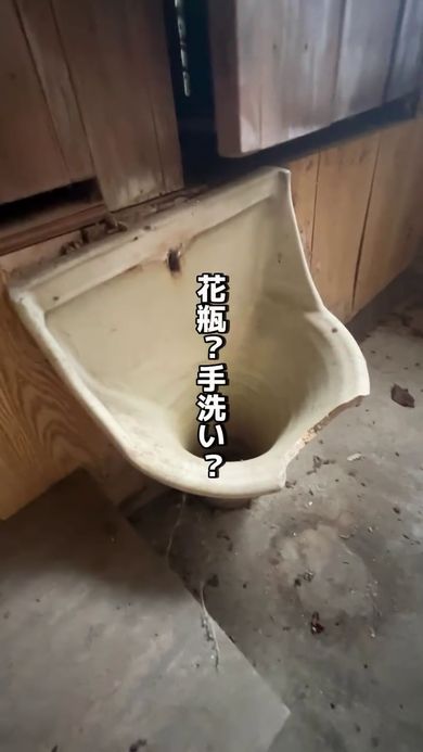 壁に設けられている物体