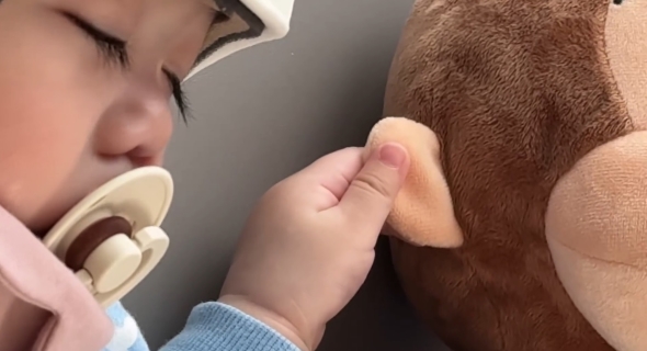 眠りにつきました…