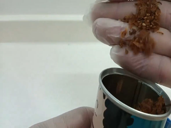 Dr.スランプ アラレちゃんふりかけ