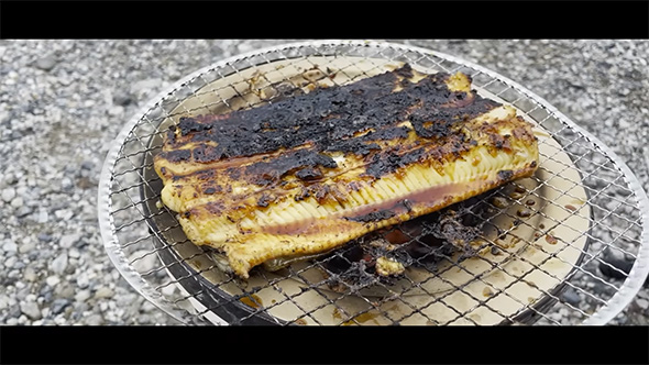 ウツボのかば焼き