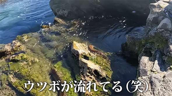 ウツボが流れてる