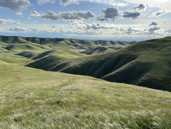 カリフォルニアの風景