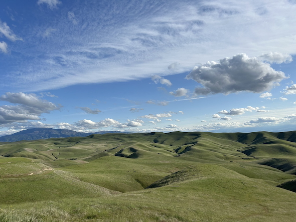 カリフォルニアの風景