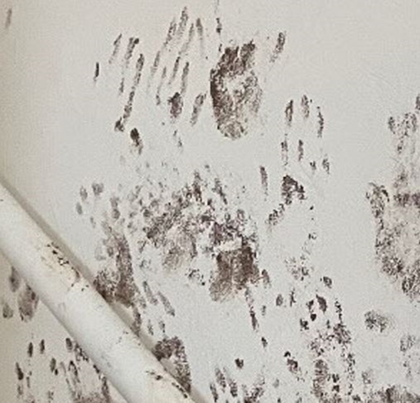 壁紙が!!!ココアぶちまけ事件