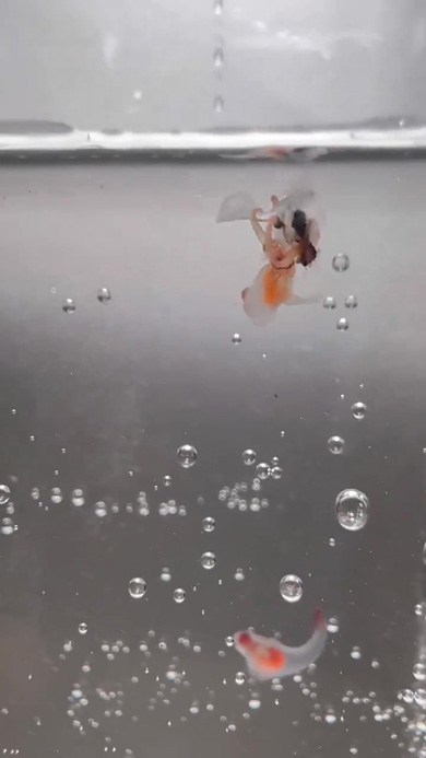 エサを食べるクリオネ