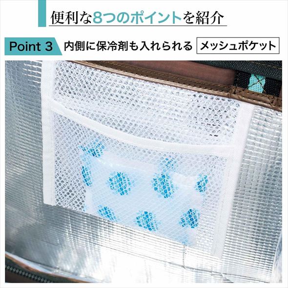 『InRed』2025年6月号付録、「コールマン」コラボクーラートート 内側にはメッシュポケット