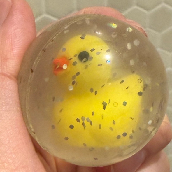 スーパーボールから取り出されたひよこ