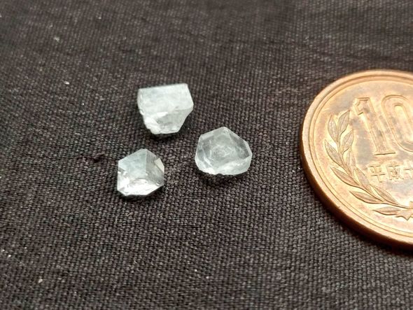 10円玉より小さいリン酸二水素カリウムの種結晶