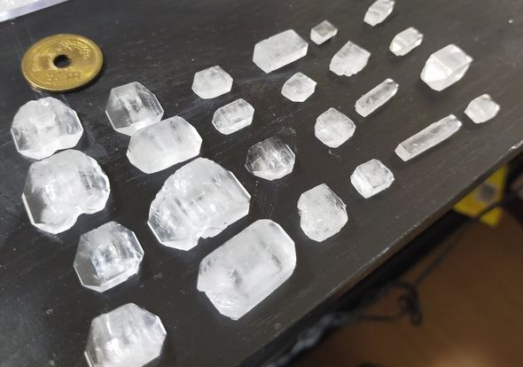 成長して5円玉より大きくなった結晶