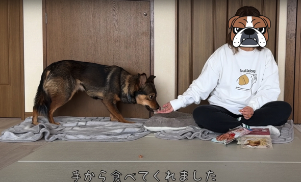 ケンタくんはママさんの手からおやつを食べてくれました