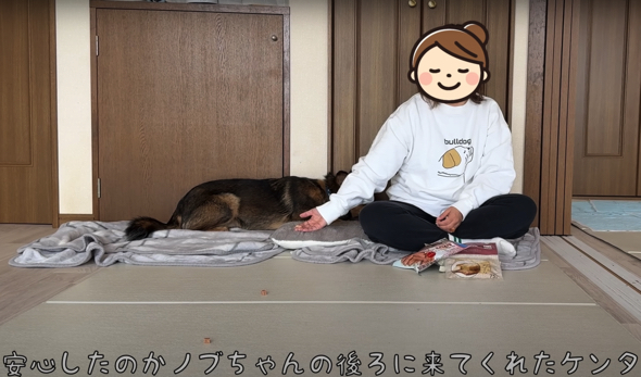 ママさんの後ろに来てくれたケンタくん