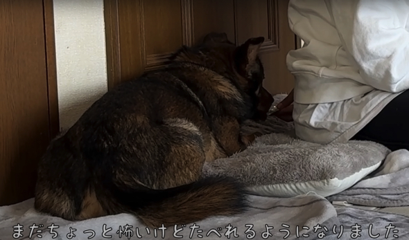 少しずつ心を開いてくれているケンタくん