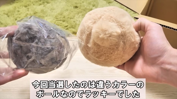 3個並んだ”うさけつボール”→よく見ると……まさかの正体