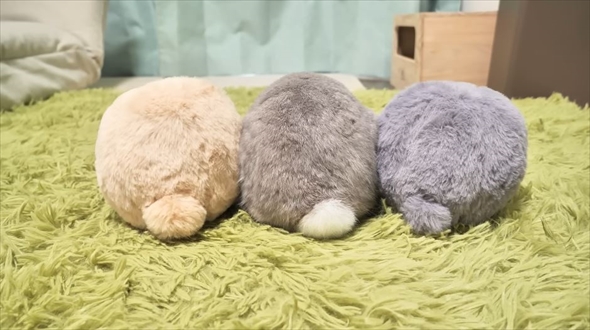 3個並んだ”うさけつボール”→よく見ると……まさかの正体