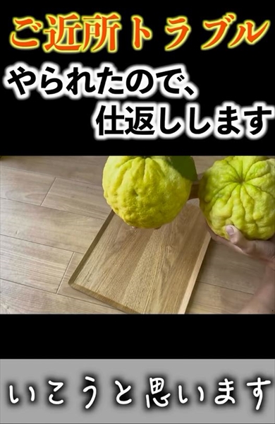 島暮らしの元大学生が隣人からゆずをもらったのでお返し