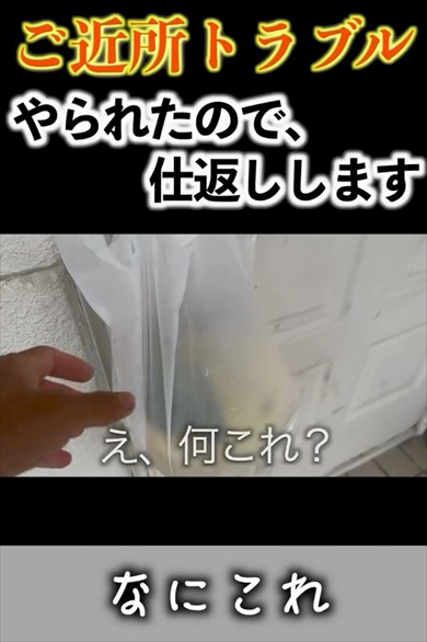 島暮らしの元大学生が隣人からゆずをもらったのでお返し