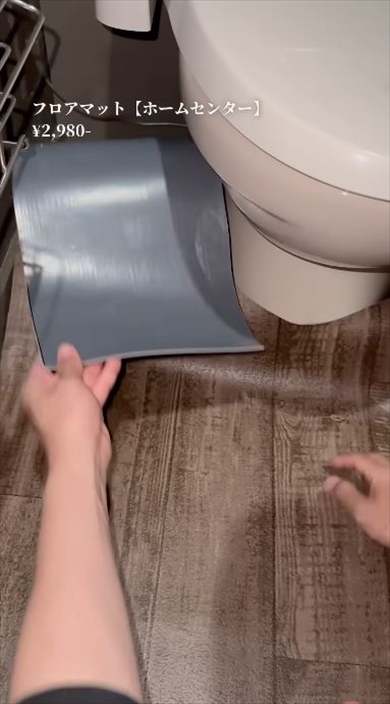 普通のトイレを2万円でDIYしたら