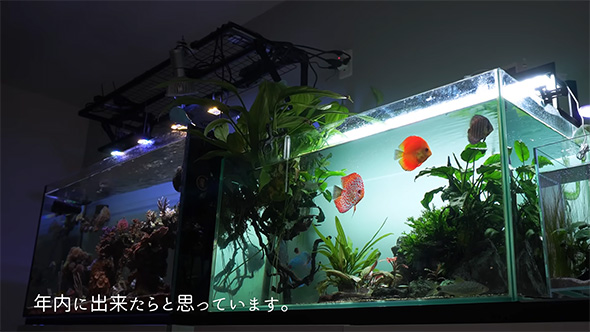 年内にできたらと