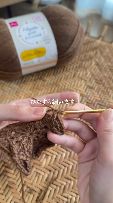 超大玉毛糸丸ごと編んだら