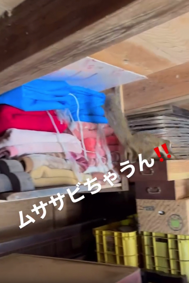 モフモフな大きなしっぽ