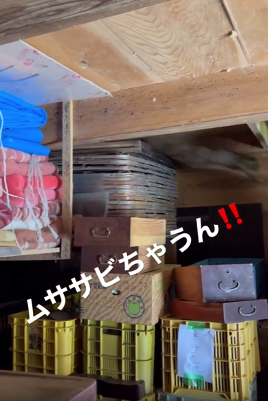 忍者のように逃げて行きました