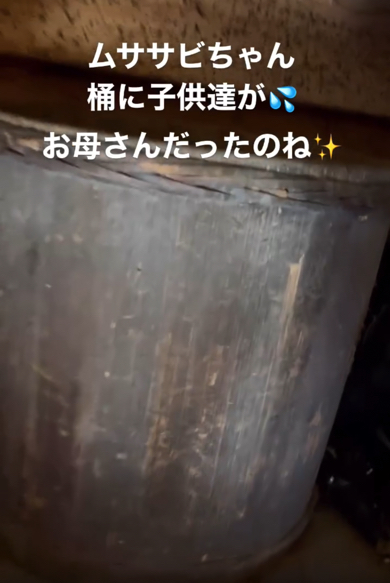 蔵を片付け始めようとした時のこと