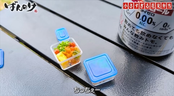 花見で出てきた愛妻弁当が小さすぎたときの夫の反応