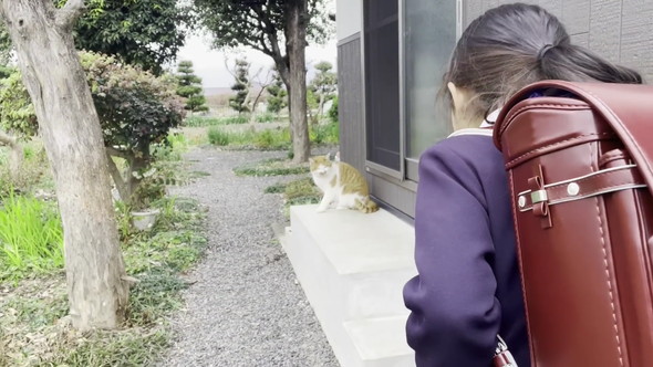 猫にあいさつを教える娘